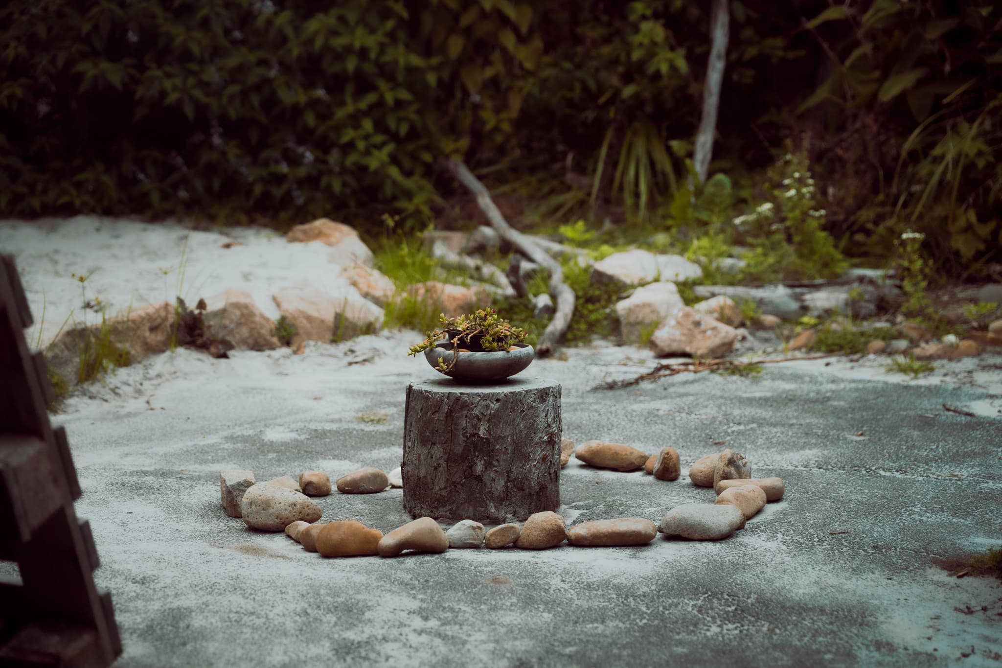 Morning circle, songs and stories.