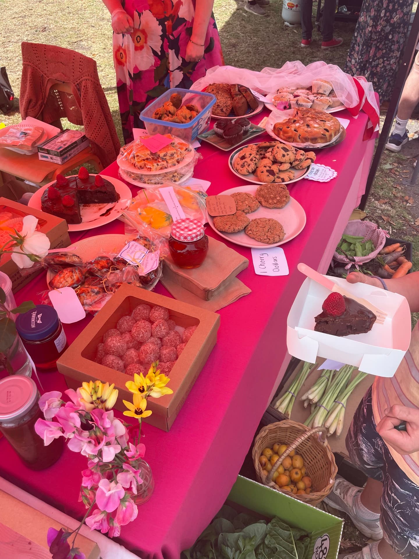 2026 Wild Cherry Spring Fair