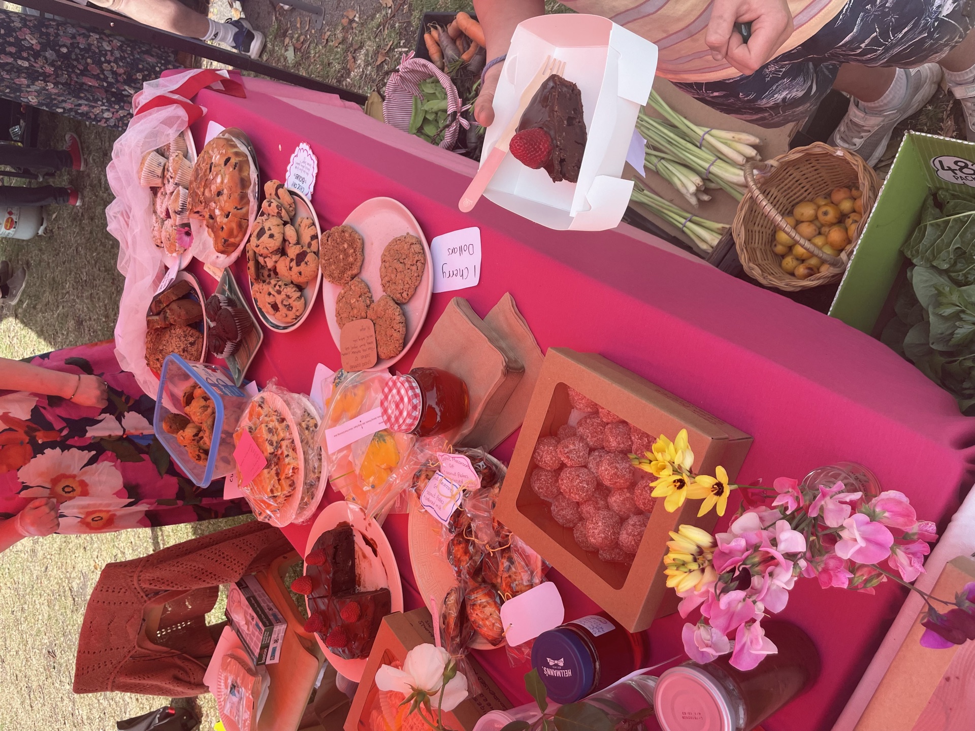 2026 Wild Cherry Spring Fair | Wild Cherry Steiner School